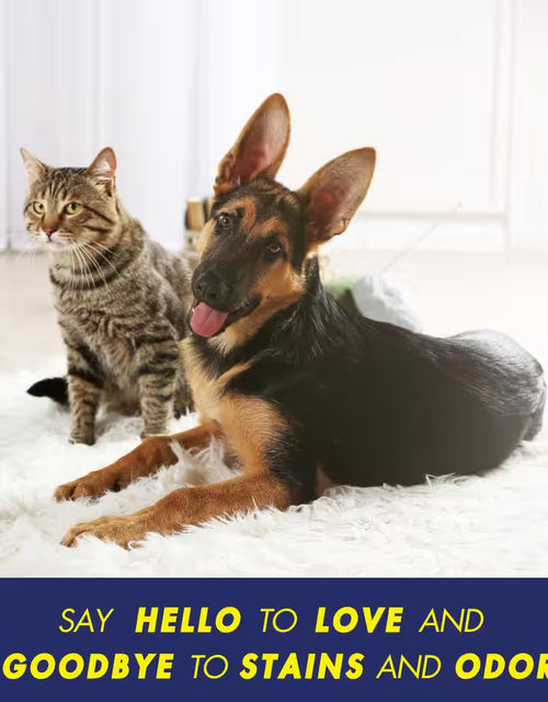 Load image into Gallery viewer, 32 Oz. Pet Stain and Odor Eliminator Spray (6-Pack)