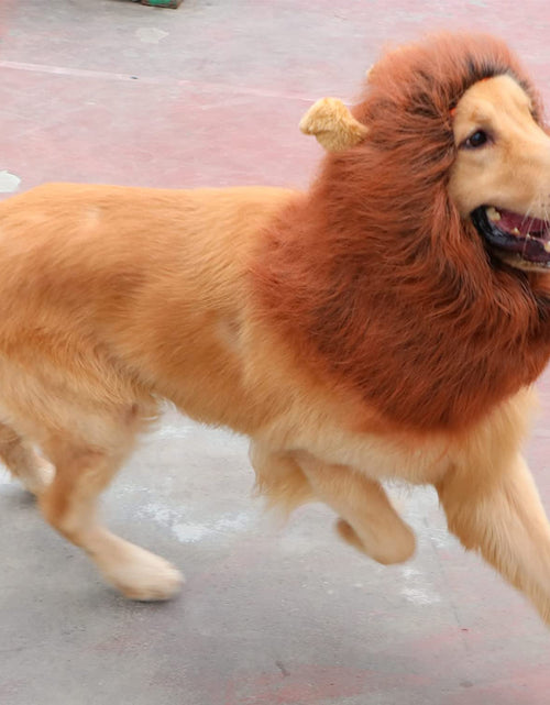 Load image into Gallery viewer, Lion Mane for Dog Costumes, Realistic Wig for Medium to Large Sized Dogs (Dark Brown)