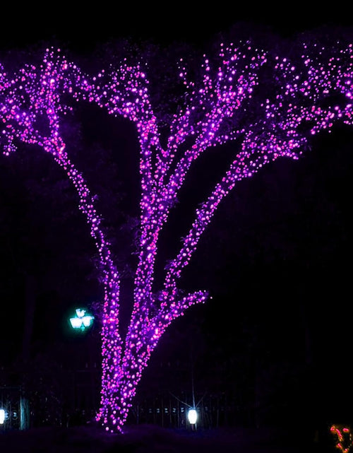 Load image into Gallery viewer, Halloween 300 LED String Lights, 100FT Connectable String Lights with 8 Lighting Modes, Halloween Decorations for Party Carnival Supplies, Indoor Outdoor Yard Garden Decor (Purple)