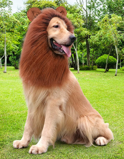Load image into Gallery viewer, Lion Mane for Dog Costumes, Realistic Wig for Medium to Large Sized Dogs (Dark Brown)