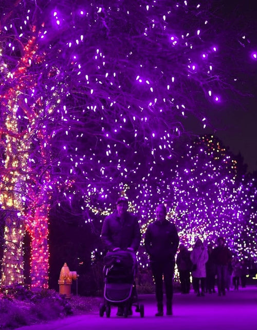 Load image into Gallery viewer, Halloween 300 LED String Lights, 100FT Connectable String Lights with 8 Lighting Modes, Halloween Decorations for Party Carnival Supplies, Indoor Outdoor Yard Garden Decor (Purple)
