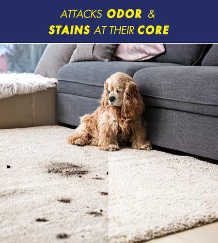 32 Oz. Pet Stain and Odor Eliminator Spray (6-Pack)